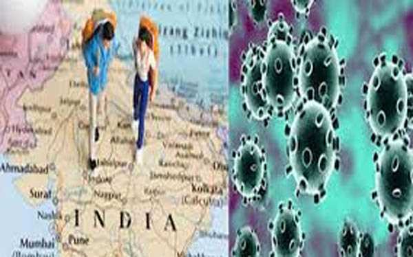 देश के चार राज्यों से कोरोना के 55.92 प्रतिशत मरीज स्वस्थ देश के चार राज्यों से कोरोना के 55.92 प्रतिशत मरीज स्वस्थ